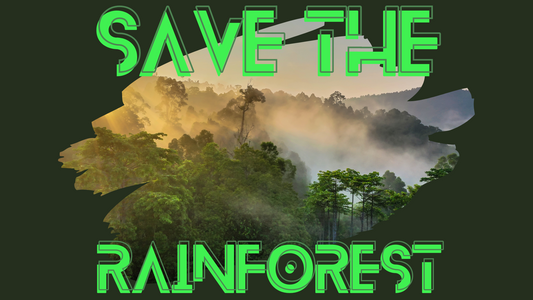 Save the Rainforest (with audio)